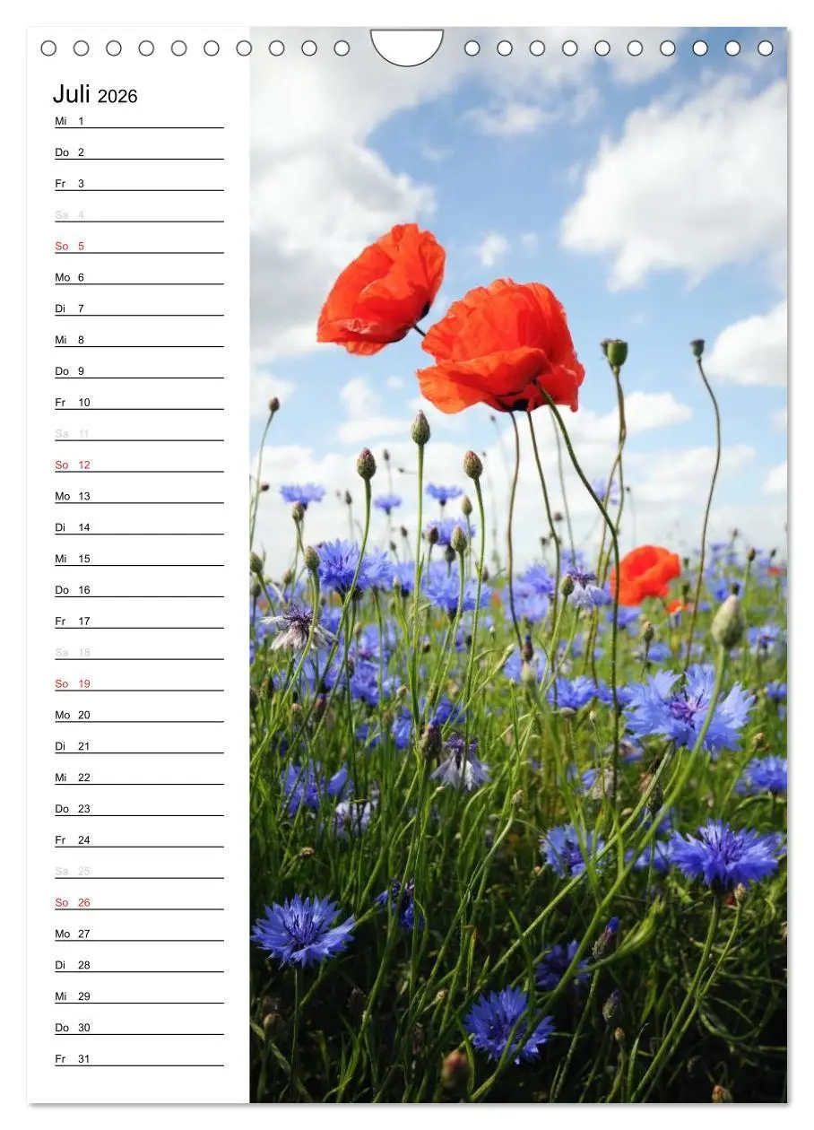 Bild: 9783516426113 | Land Brandenburg im Wechsel der Jahreszeiten (Wandkalender 2026 DIN...