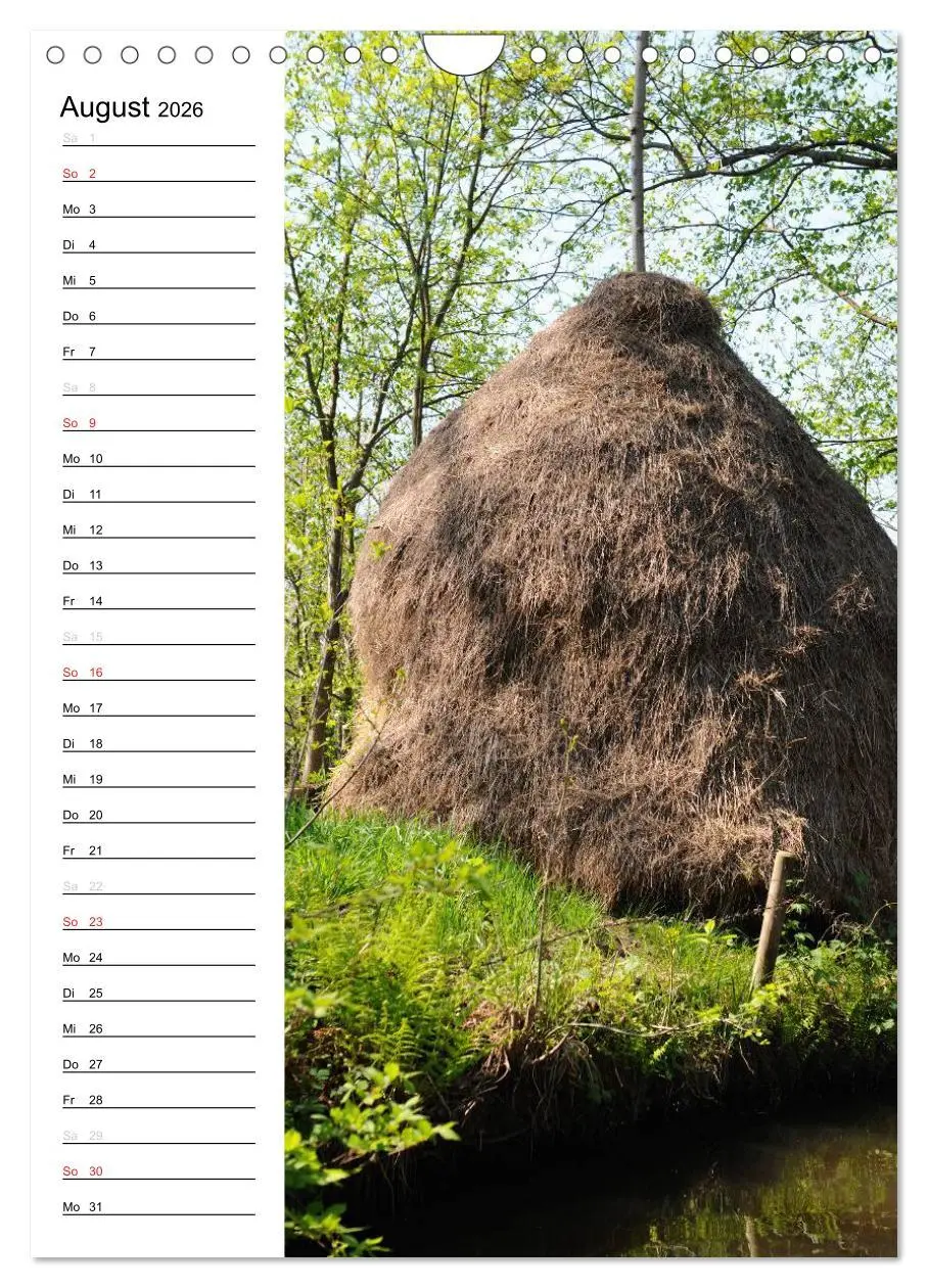 Bild: 9783516426113 | Land Brandenburg im Wechsel der Jahreszeiten (Wandkalender 2026 DIN...