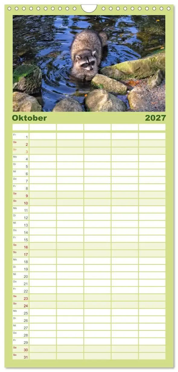 Bild: 9783594336113 | Familienplaner 2027 - Waschbär - Niedlicher Allesfresser mit 5...