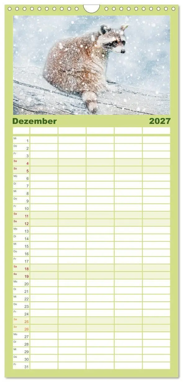 Bild: 9783594336113 | Familienplaner 2027 - Waschbär - Niedlicher Allesfresser mit 5...