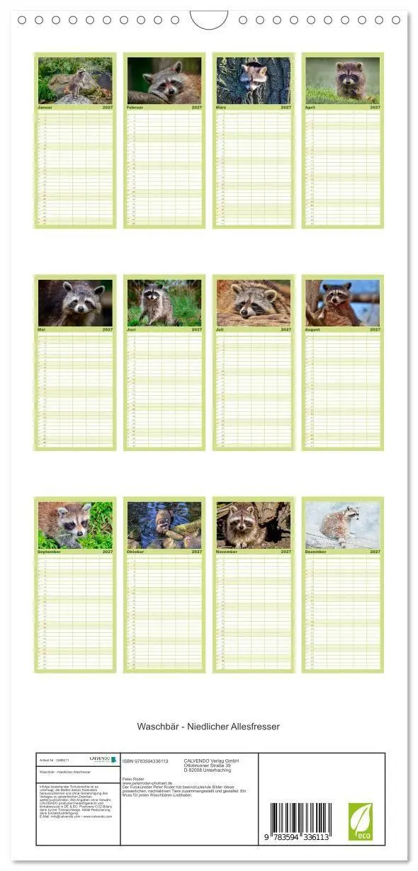 Bild: 9783594336113 | Familienplaner 2027 - Waschbär - Niedlicher Allesfresser mit 5...
