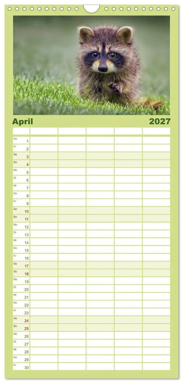 Bild: 9783594336113 | Familienplaner 2027 - Waschbär - Niedlicher Allesfresser mit 5...
