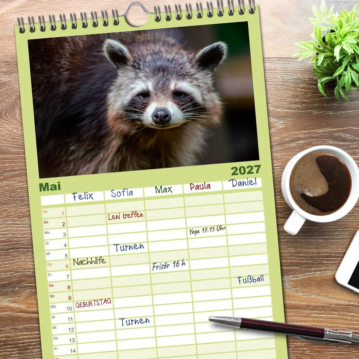 Bild: 9783594336113 | Familienplaner 2027 - Waschbär - Niedlicher Allesfresser mit 5...