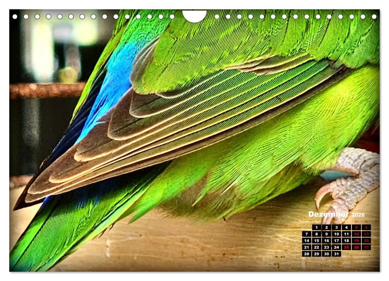 Bild: 9783457326213 | Die Unzertrennlichen (Wandkalender 2026 DIN A4 quer), CALVENDO...