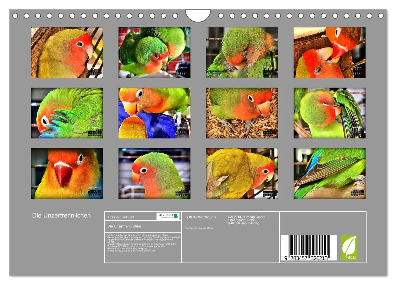 Bild: 9783457326213 | Die Unzertrennlichen (Wandkalender 2026 DIN A4 quer), CALVENDO...