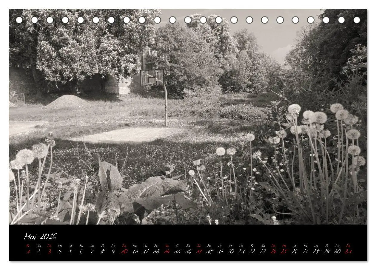 Bild: 9783516106213 | Kaiserswerther Impressionen (Tischkalender 2026 DIN A5 quer),...
