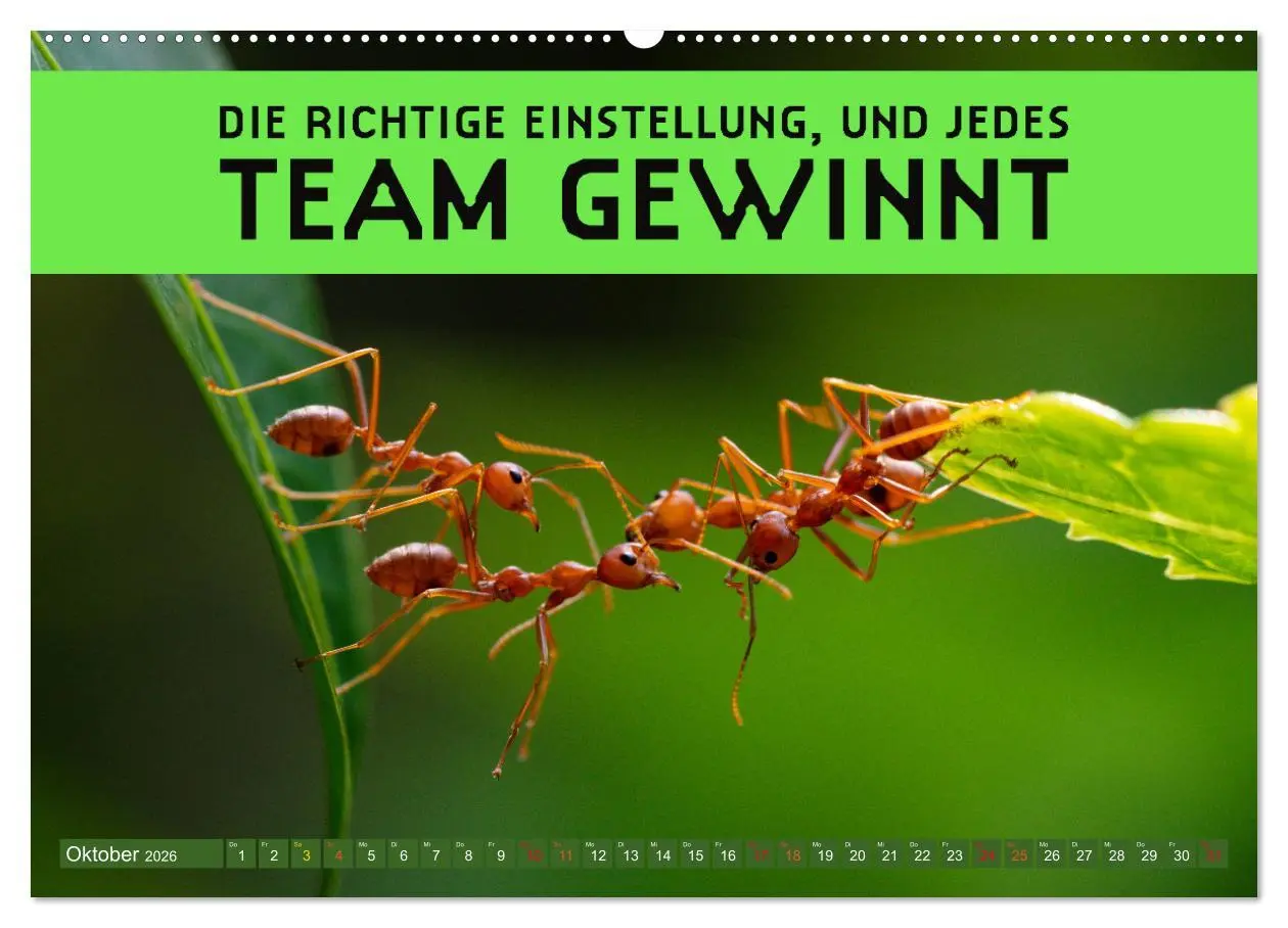 Bild: 9783457246313 | Gemeinsam sind wir stark - motivierende Sprüche über Teams...