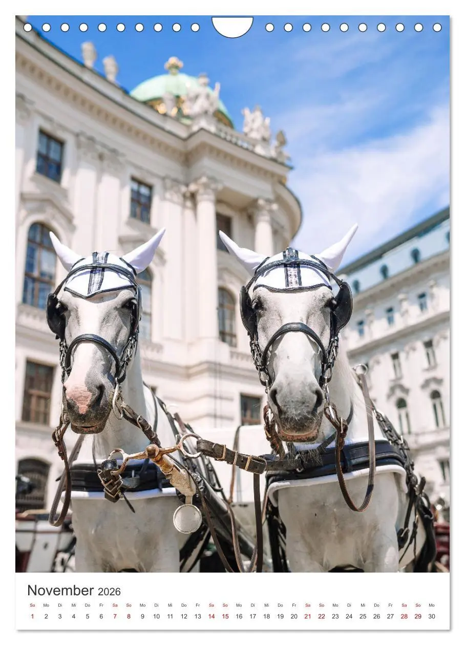 Bild: 9783516336313 | Ach du schönes Wien (Wandkalender 2026 DIN A4 hoch), CALVENDO...