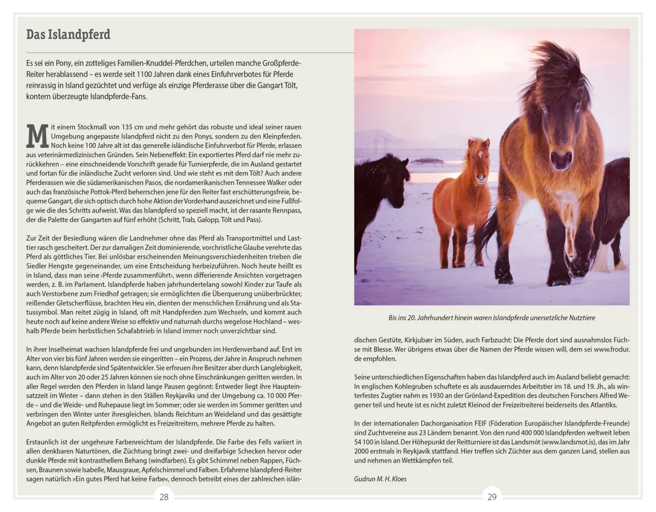 Bild: 9783616016313 | DUMONT Reise-Handbuch Reiseführer Island | mit Extra-Reisekarte | Buch