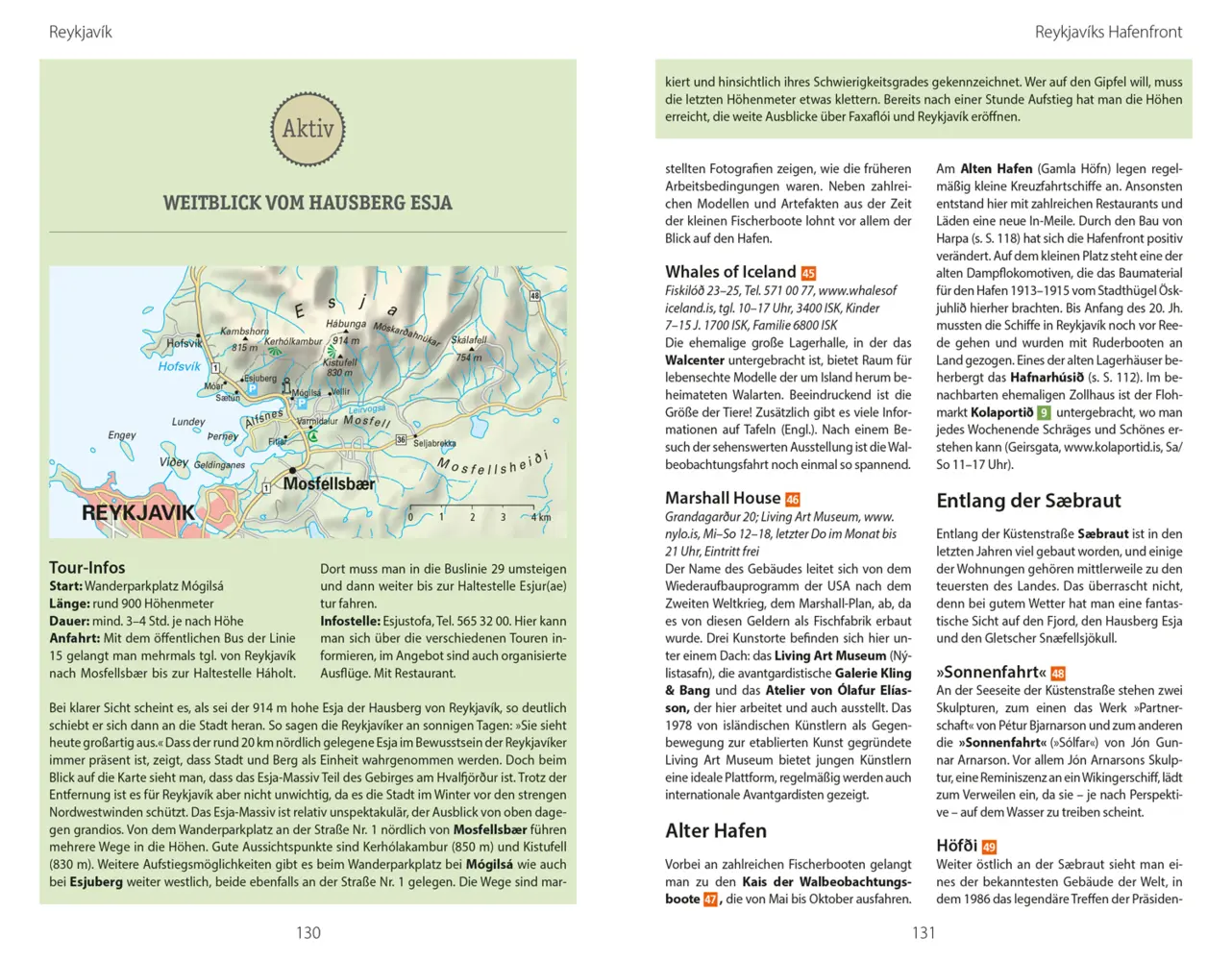 Bild: 9783616016313 | DUMONT Reise-Handbuch Reiseführer Island | mit Extra-Reisekarte | Buch