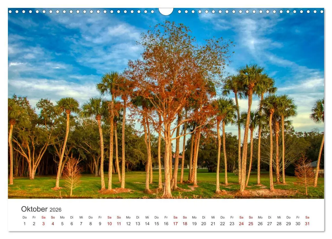 Bild: 9783457616413 | Florida - The Sunshine State (Wandkalender 2026 DIN A3 quer),...