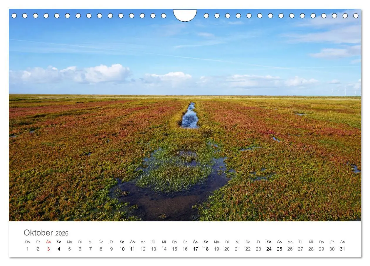 Bild: 9783457786413 | Nordfriesland (Wandkalender 2026 DIN A4 quer), CALVENDO Monatskalender
