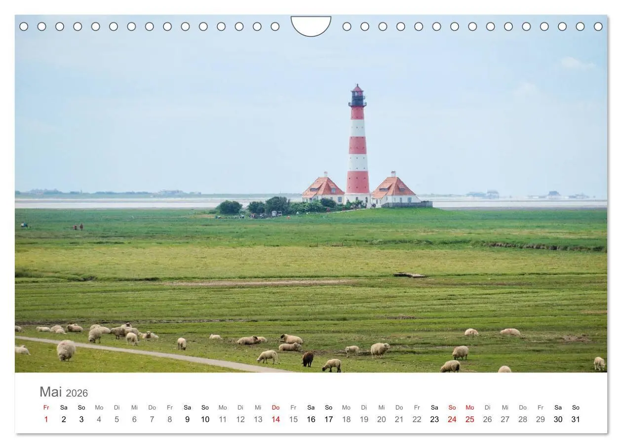 Bild: 9783457786413 | Nordfriesland (Wandkalender 2026 DIN A4 quer), CALVENDO Monatskalender