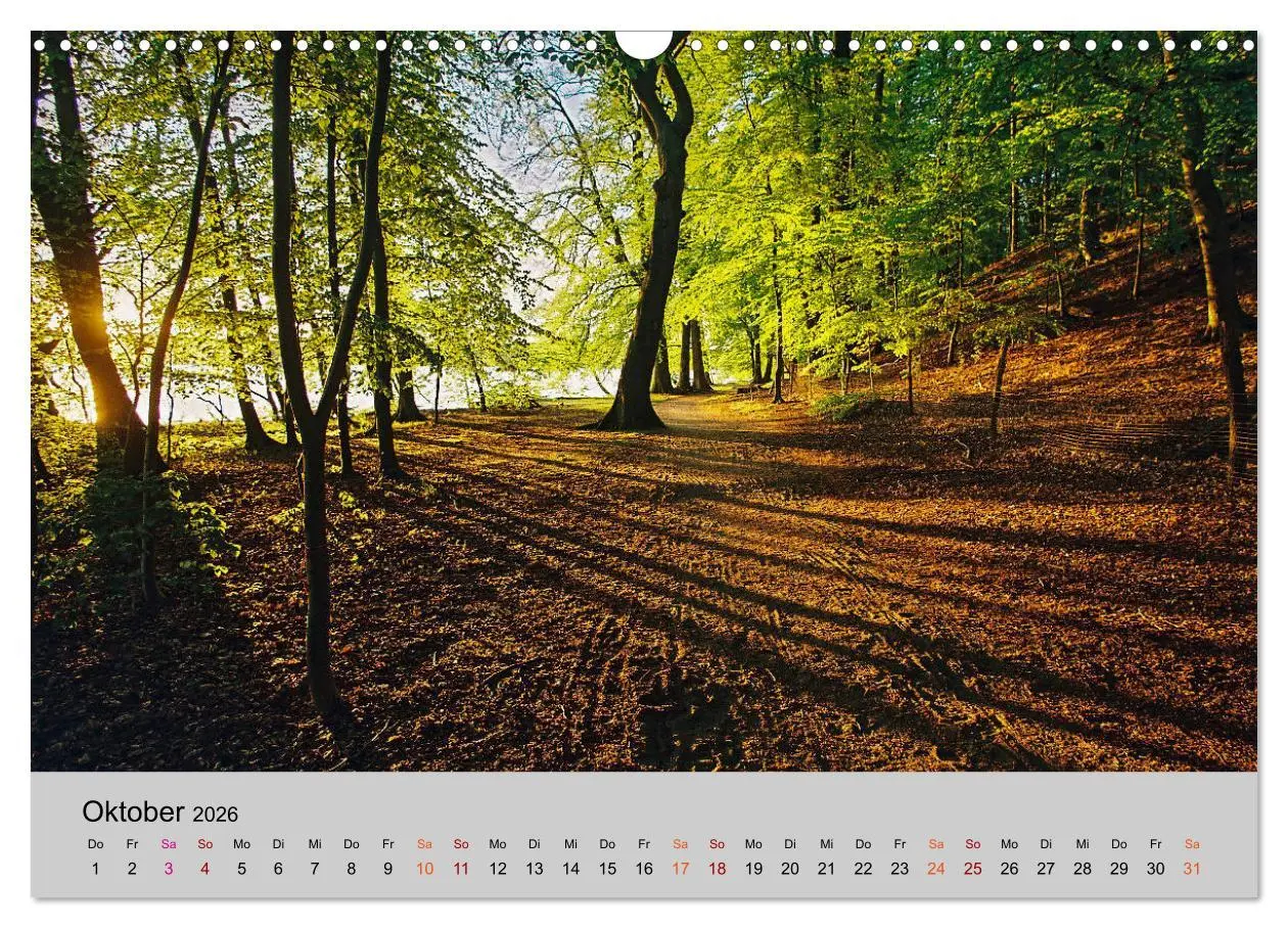 Bild: 9783457856413 | Joachimsthal am Rand der Schorfheide (Wandkalender 2026 DIN A3...