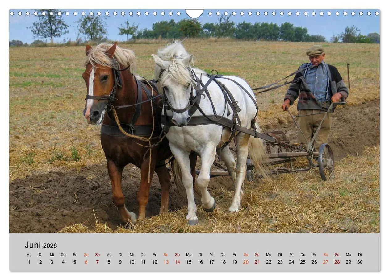 Bild: 9783457856413 | Joachimsthal am Rand der Schorfheide (Wandkalender 2026 DIN A3...
