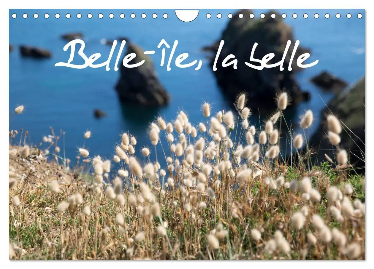 Cover: 9783516566413 | Belle-Île, la belle (Calendrier mural 2026 DIN A4 vertical),...