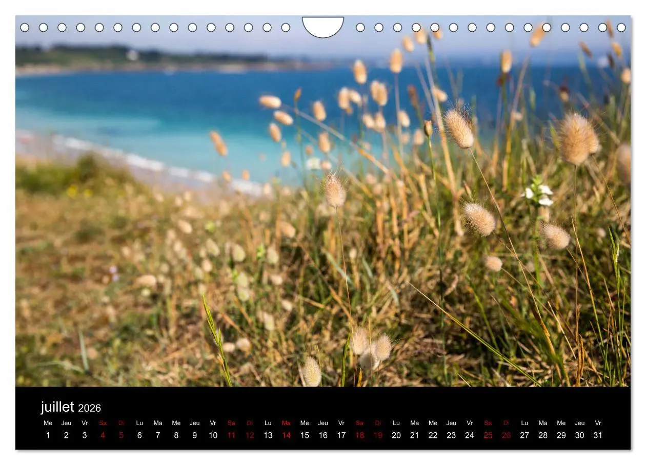 Bild: 9783516566413 | Belle-Île, la belle (Calendrier mural 2026 DIN A4 vertical),...