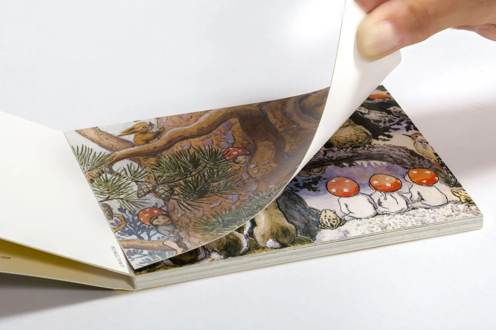 Bild: 9783730616413 | Postkarten-Set Wichtelkinder | 18 Kunstpostkarten | Elsa Beskow | Buch