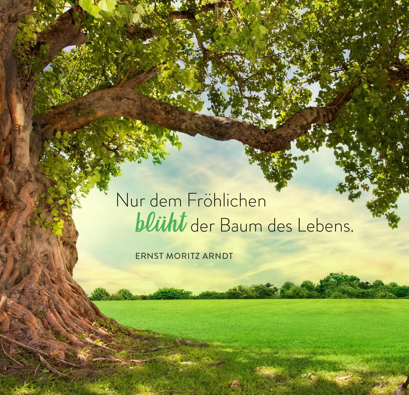 Bild: 9783845866413 | 365 Glücksgefühle für jeden Tag | Taschenbuch | 365 Tage | 176 S.