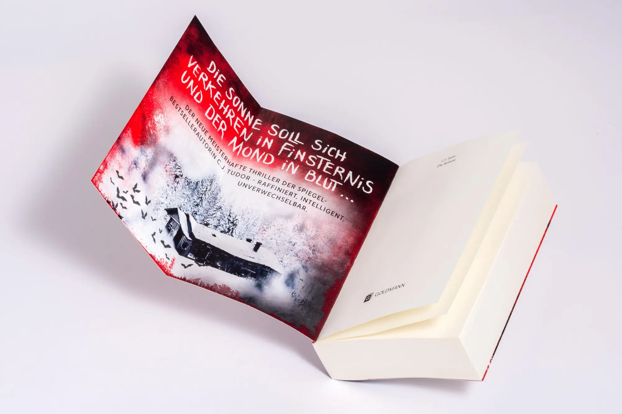 Bild: 9783442206513 | Die Kolonie | Thriller | C. J. Tudor | Taschenbuch | 480 S. | Deutsch