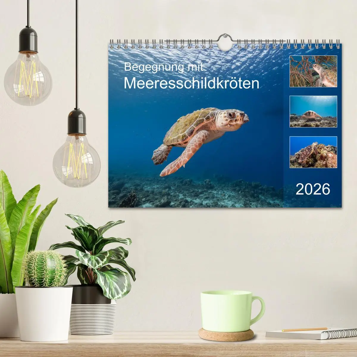 Bild: 9783457776513 | Begegnung mit Meeresschildkröten (Wandkalender 2026 DIN A4 quer),...