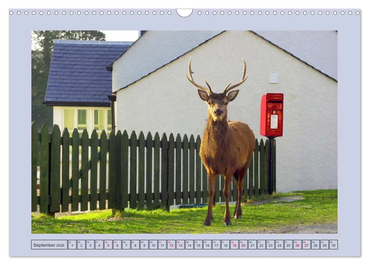Bild: 9783457916513 | Sie haben Post - Briefkästen in Schottland (Wandkalender 2026 DIN...