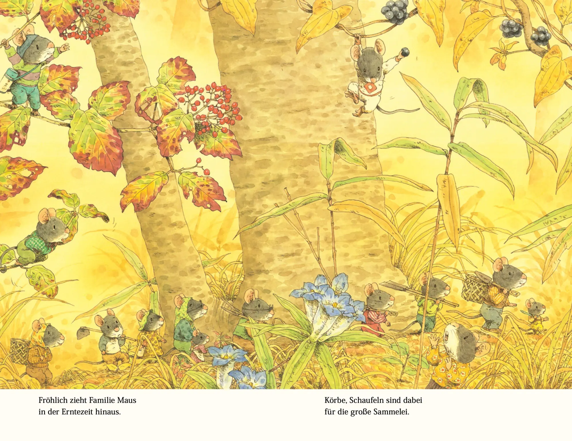 Bild: 9783314106613 | Familie Maus bei der Ernte | Rose Pflock (u. a.) | Buch | Familie Maus