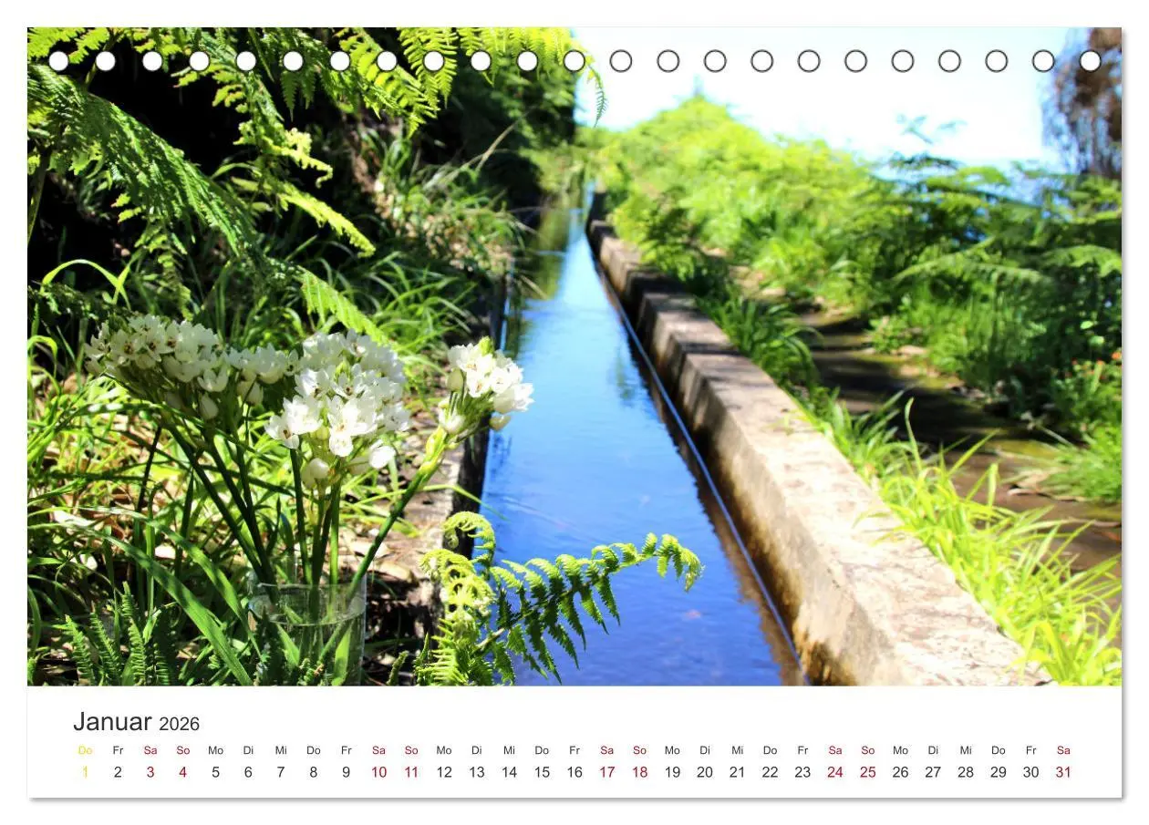 Bild: 9783457456613 | Madeira - Eine wunderschöne Perle im Atlantik (Tischkalender 2026...