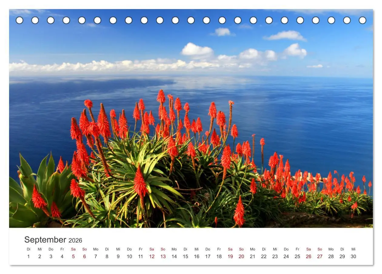 Bild: 9783457456613 | Madeira - Eine wunderschöne Perle im Atlantik (Tischkalender 2026...