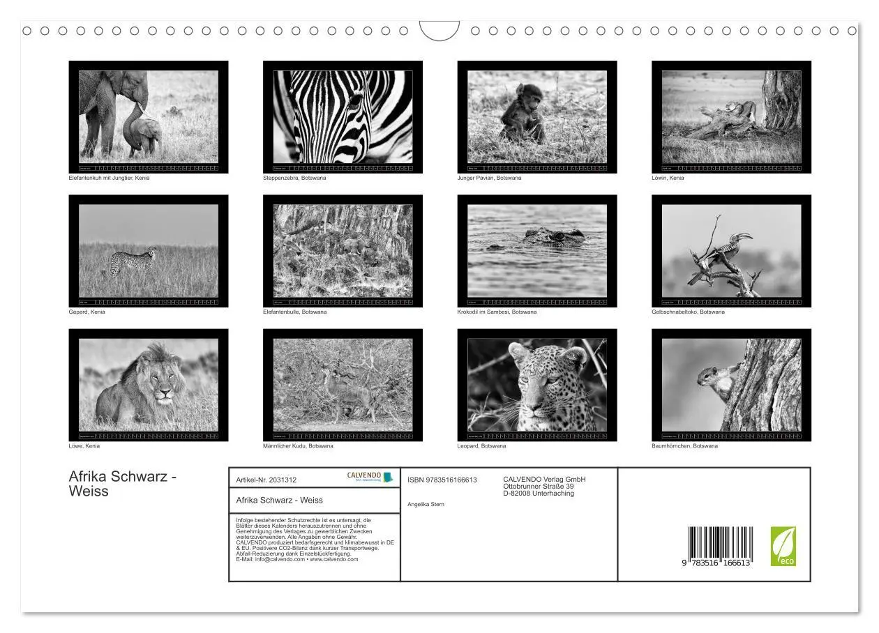 Bild: 9783516166613 | Afrika Schwarz - Weiss (Wandkalender 2026 DIN A3 quer), CALVENDO...