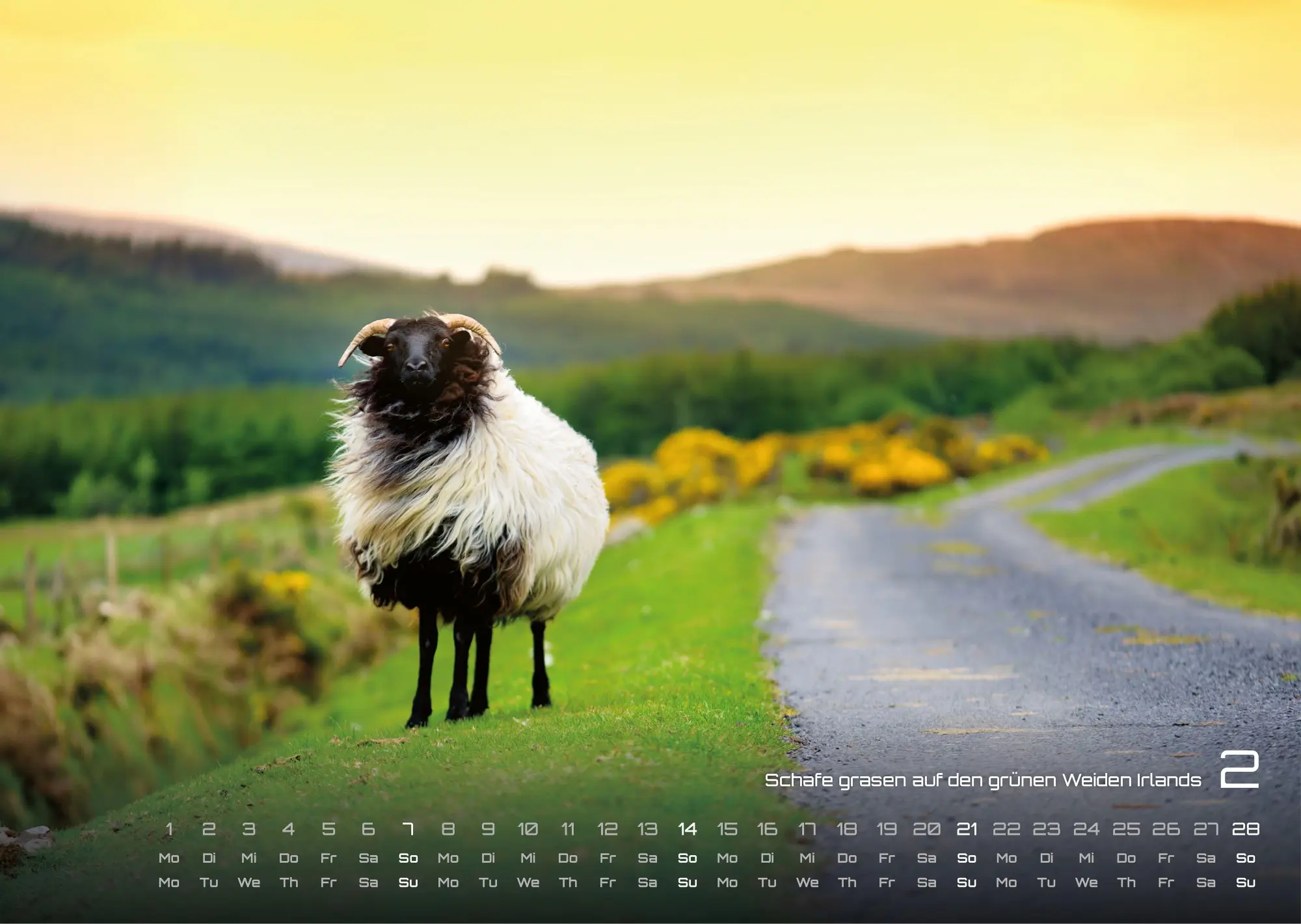 Bild: 9783986736613 | Irland - Die grüne Insel - 2027 - Kalender DIN A3 | GP-Fever. de