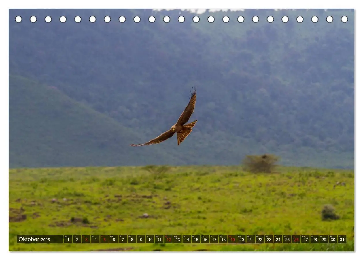 Bild: 9783435806713 | Abenteuer Tansania, Afrika (Tischkalender 2025 DIN A5 quer),...