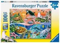 Cover: 4005556106813 | Bunter Ozean. Puzzle 100 Teile XXL | Spiel | Kinderpuzzle | 10681