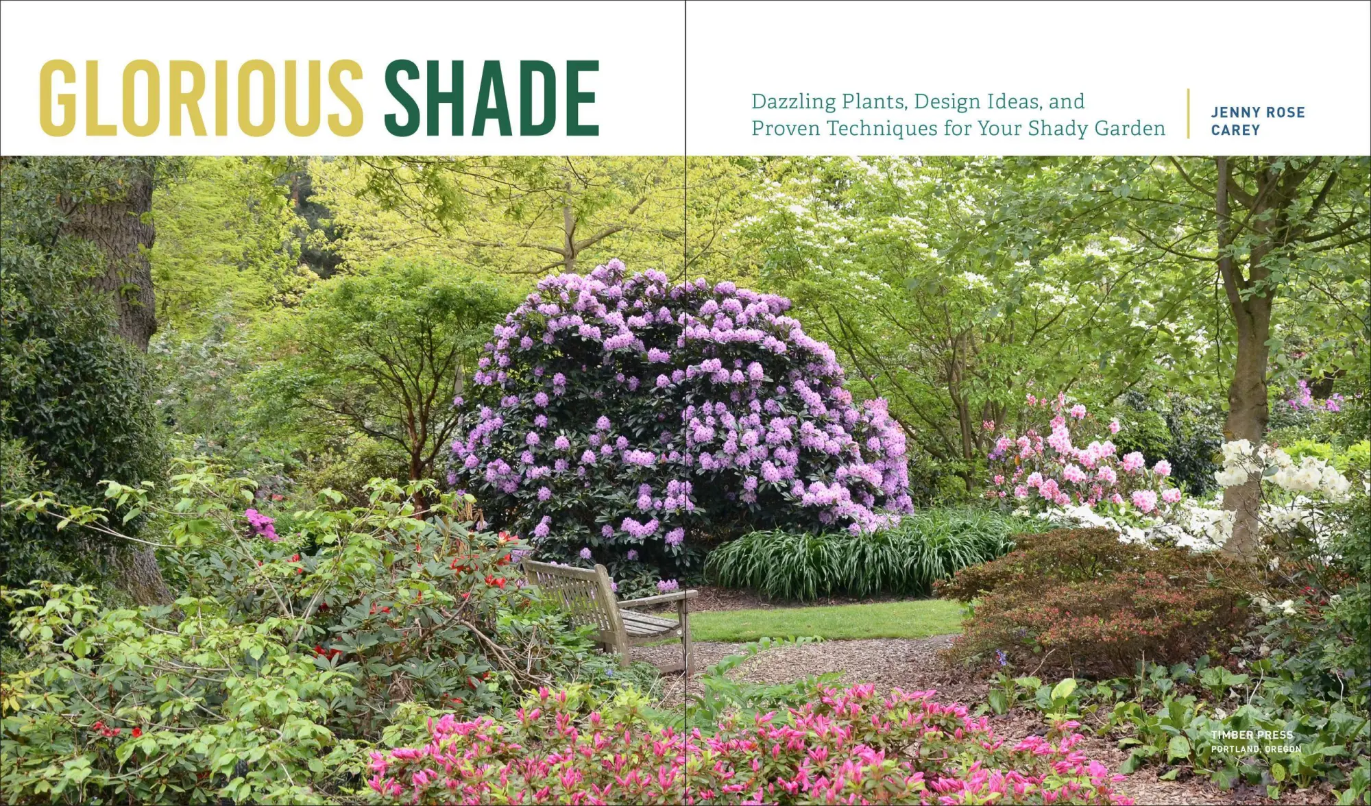 Bild: 9781604696813 | Glorious Shade | Jenny Rose Carey | Taschenbuch | Englisch | 2017
