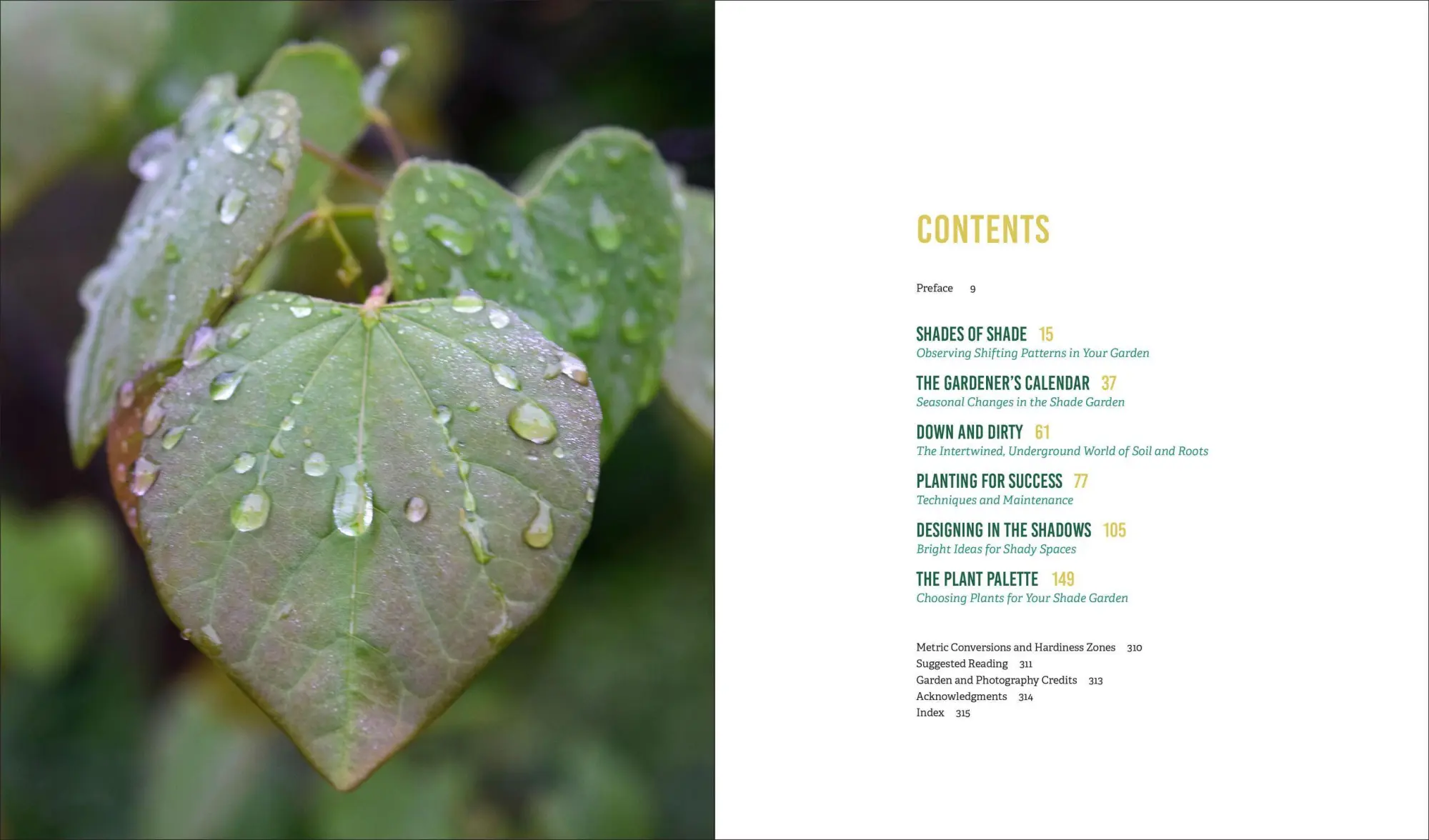 Bild: 9781604696813 | Glorious Shade | Jenny Rose Carey | Taschenbuch | Englisch | 2017