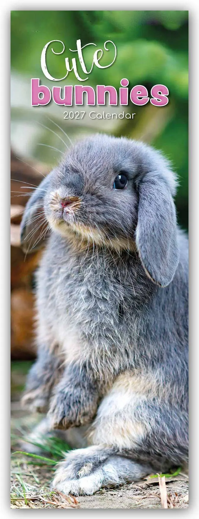 Cover: 9781805976813 | Cute Bunnies - Süße Häschen - Slimline-Kalender 2027 | Ltd | Kalender