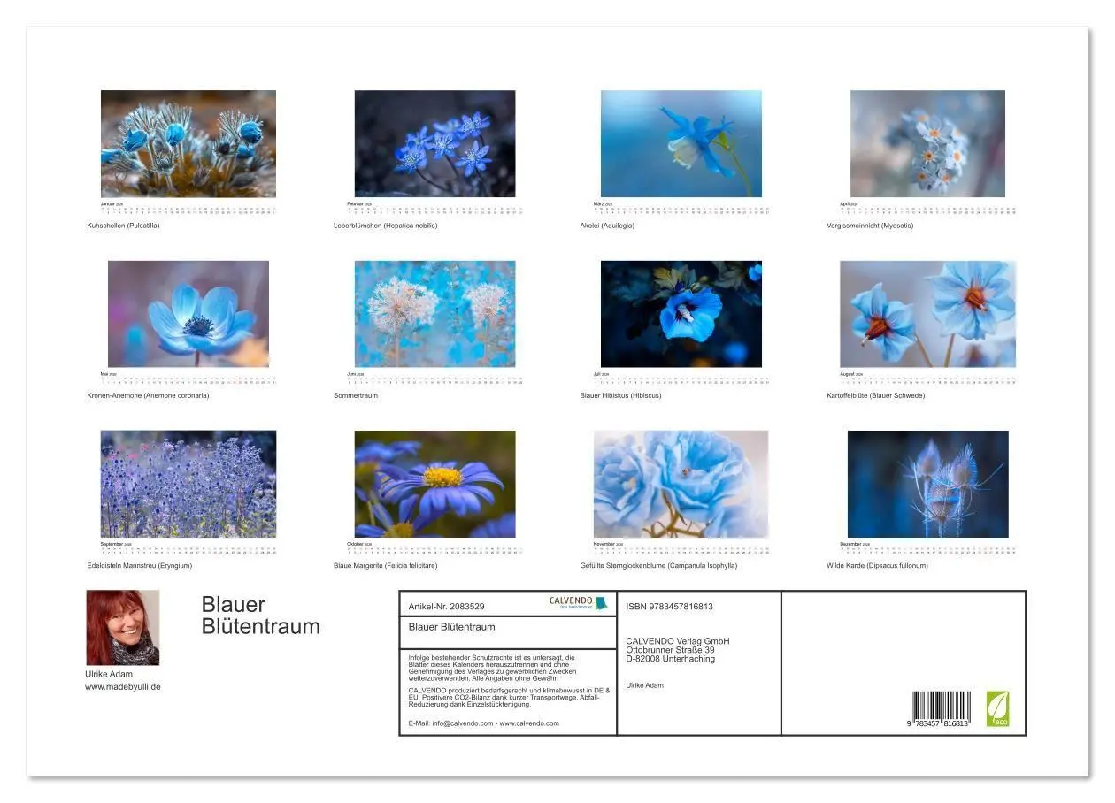 Bild: 9783457816813 | Blauer Blütentraum (Wandkalender 2026 DIN A2 quer), CALVENDO...