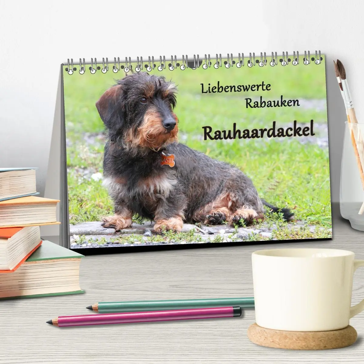 Bild: 9783516146813 | Liebenswerte Rabauken Rauhaardackel / CH-Version (Tischkalender...