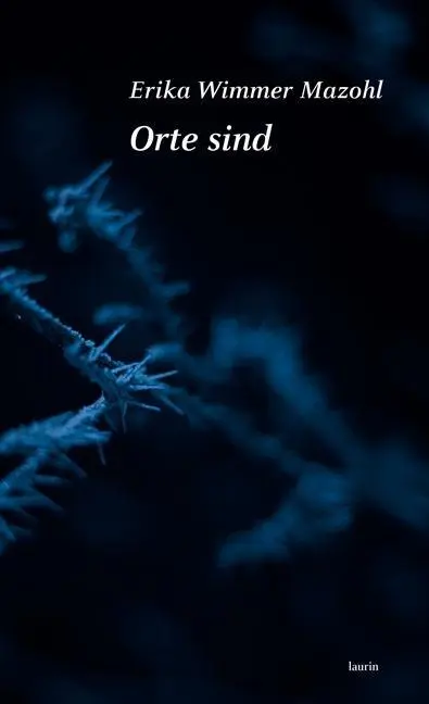Cover: 9783902866813 | Orte sind | Gedichte | Erika Wimmer Mazohl | Buch | 128 S. | Deutsch