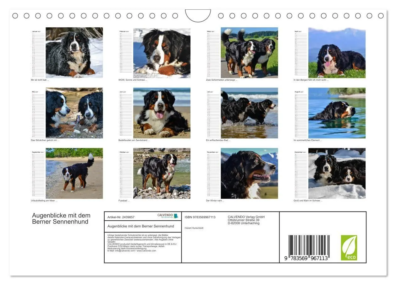 Bild: 9783569967113 | Augenblicke mit dem Berner Sennenhund (Wandkalender 2027 DIN A4...