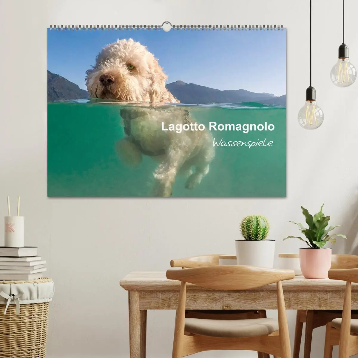 Bild: 9783457777213 | Lagotto Romagnolo - Wasserspiele (Wandkalender 2026 DIN A2 quer),...