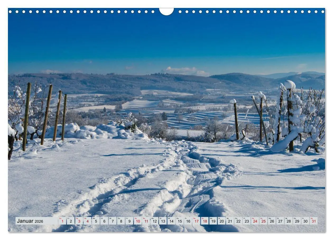 Bild: 9783457847213 | Weinregion Kaiserstuhl (Wandkalender 2026 DIN A3 quer), CALVENDO...