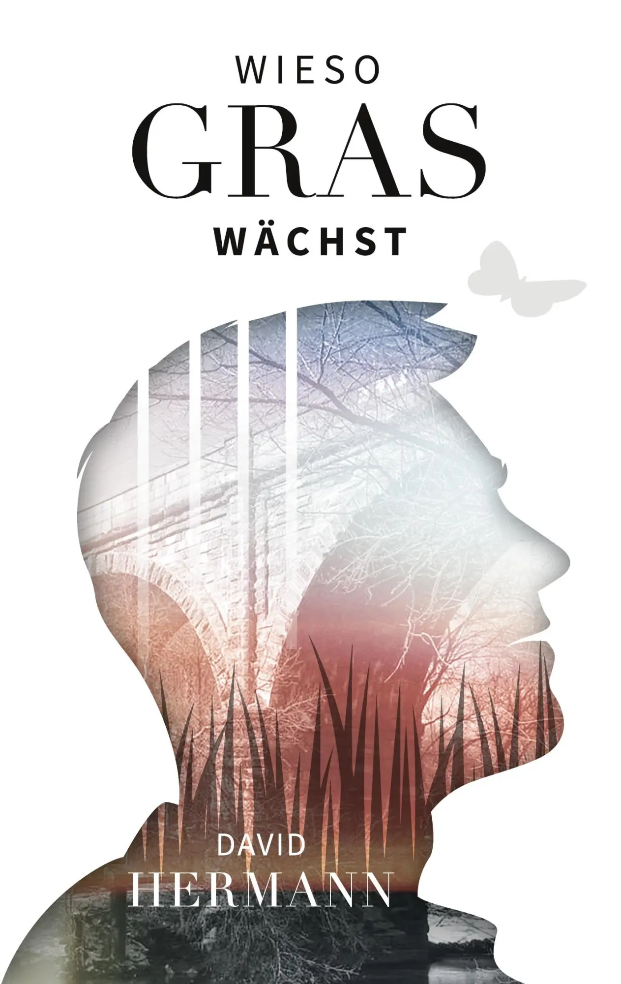 Cover: 9783757817213 | Wieso Gras wächst | David Hermann | Taschenbuch | Paperback | 218 S.