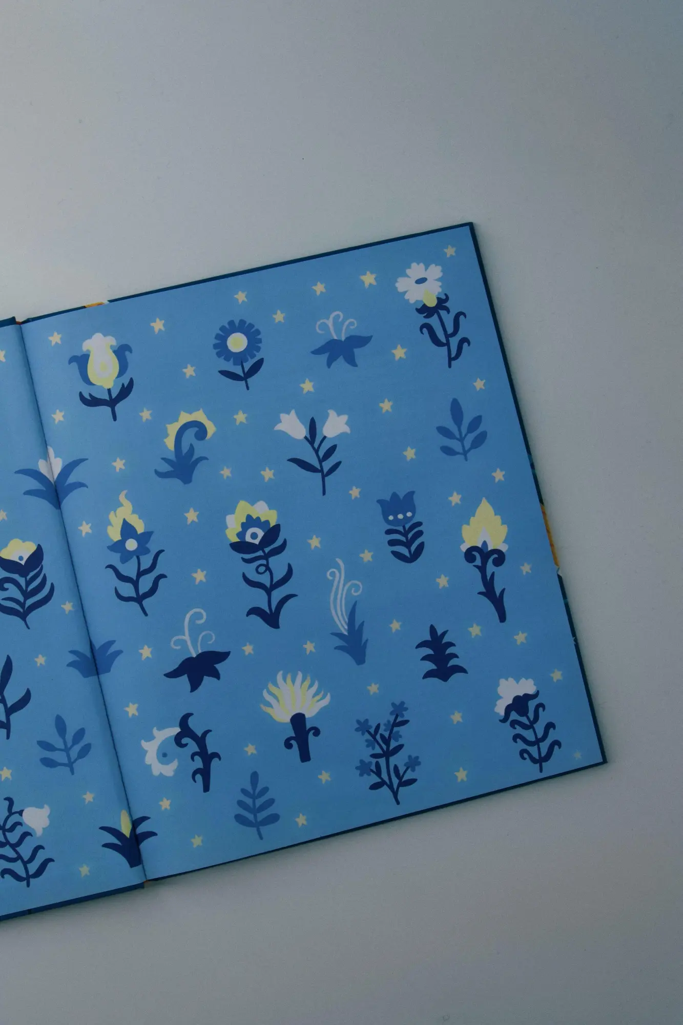 Bild: 9783314107313 | Fabelwesen | Fantastische Tiergestalten | Cornelia Funke | Buch | 2025