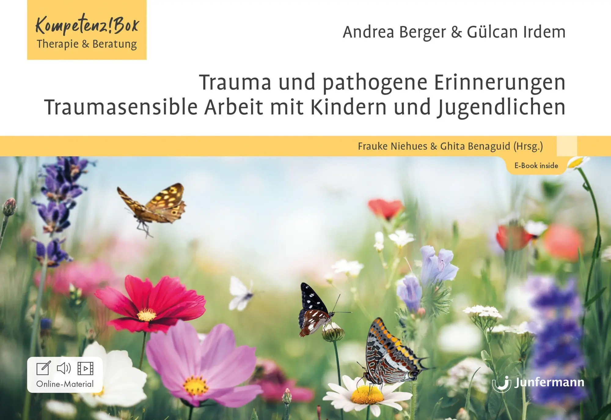 Cover: 9783749507313 | Trauma und pathogene Erinnerungen: Traumasensible Arbeit mit...