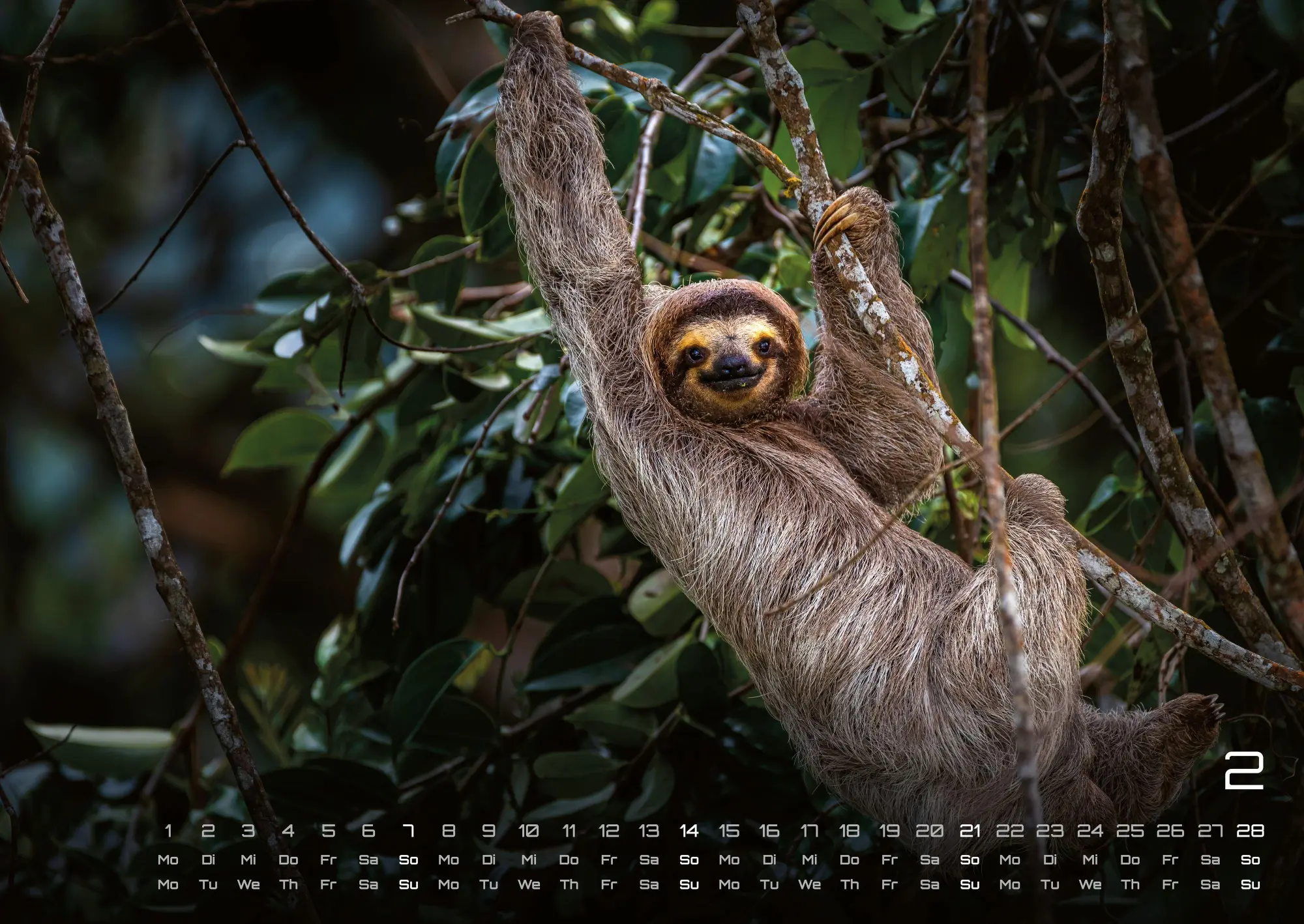 Bild: 9783986737313 | Faultiere - Chill mal! - 2027 - Kalender DIN A2 | GP-Fever. de | 15 S.