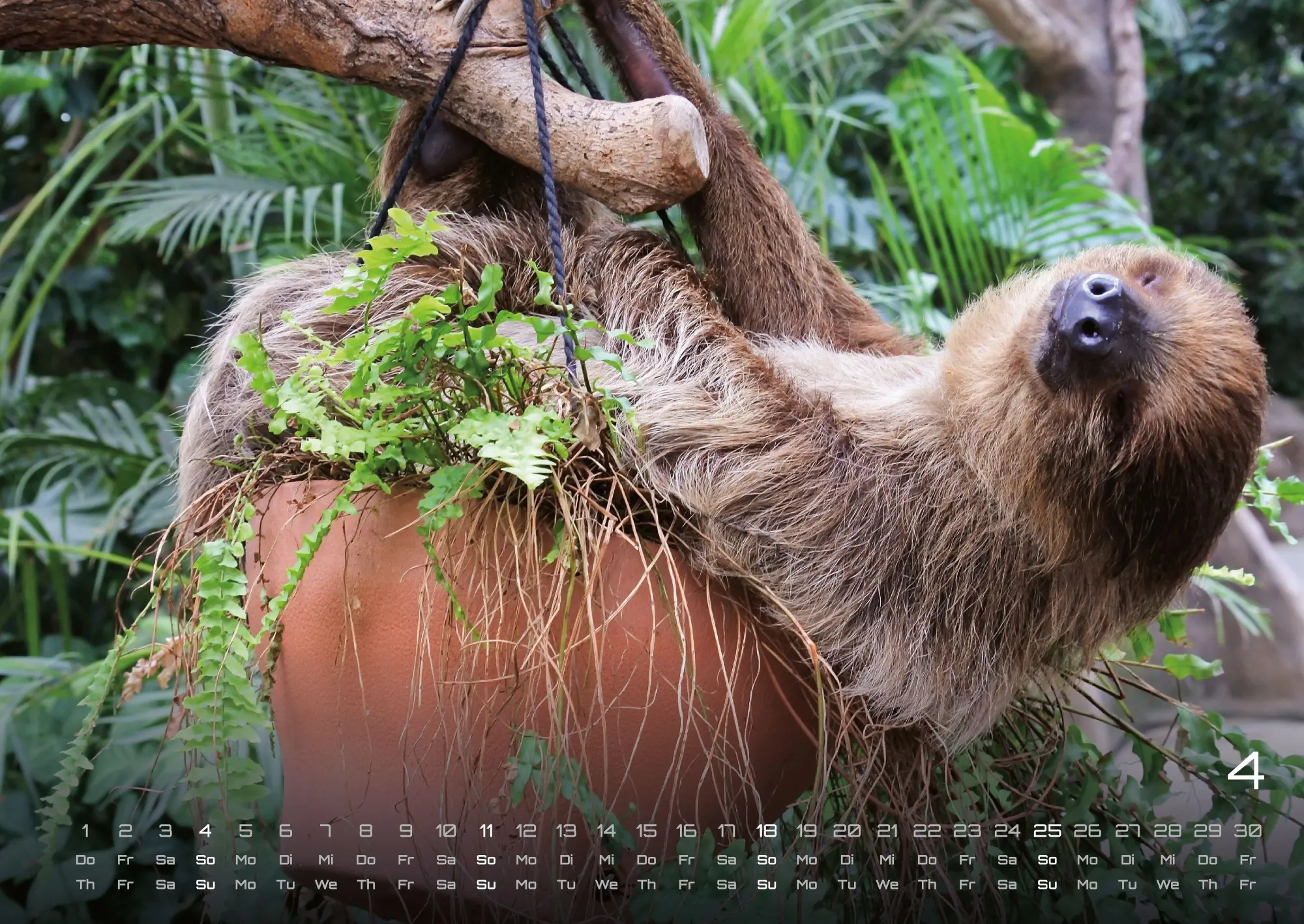 Bild: 9783986737313 | Faultiere - Chill mal! - 2027 - Kalender DIN A2 | GP-Fever. de | 15 S.