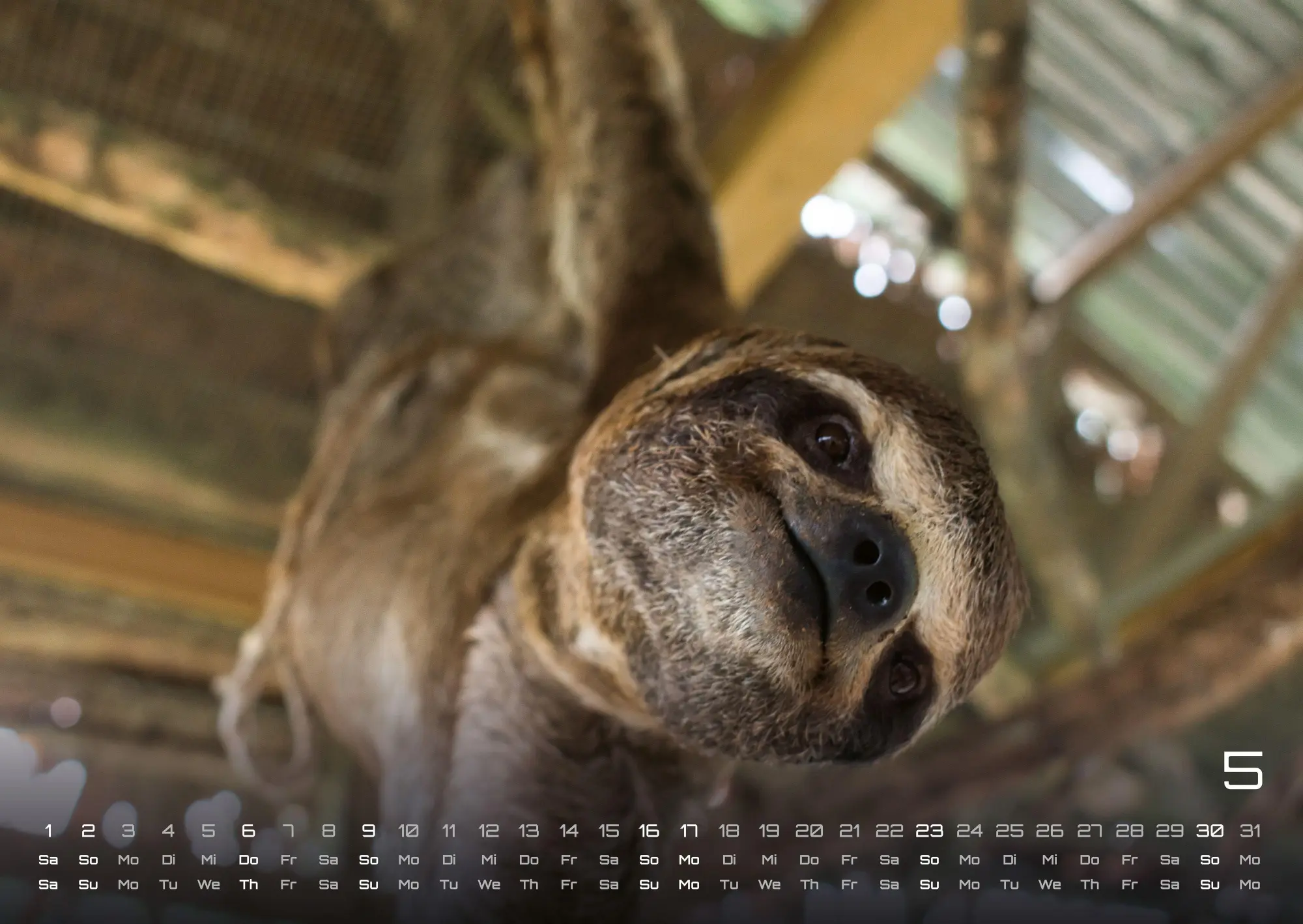 Bild: 9783986737313 | Faultiere - Chill mal! - 2027 - Kalender DIN A2 | GP-Fever. de | 15 S.