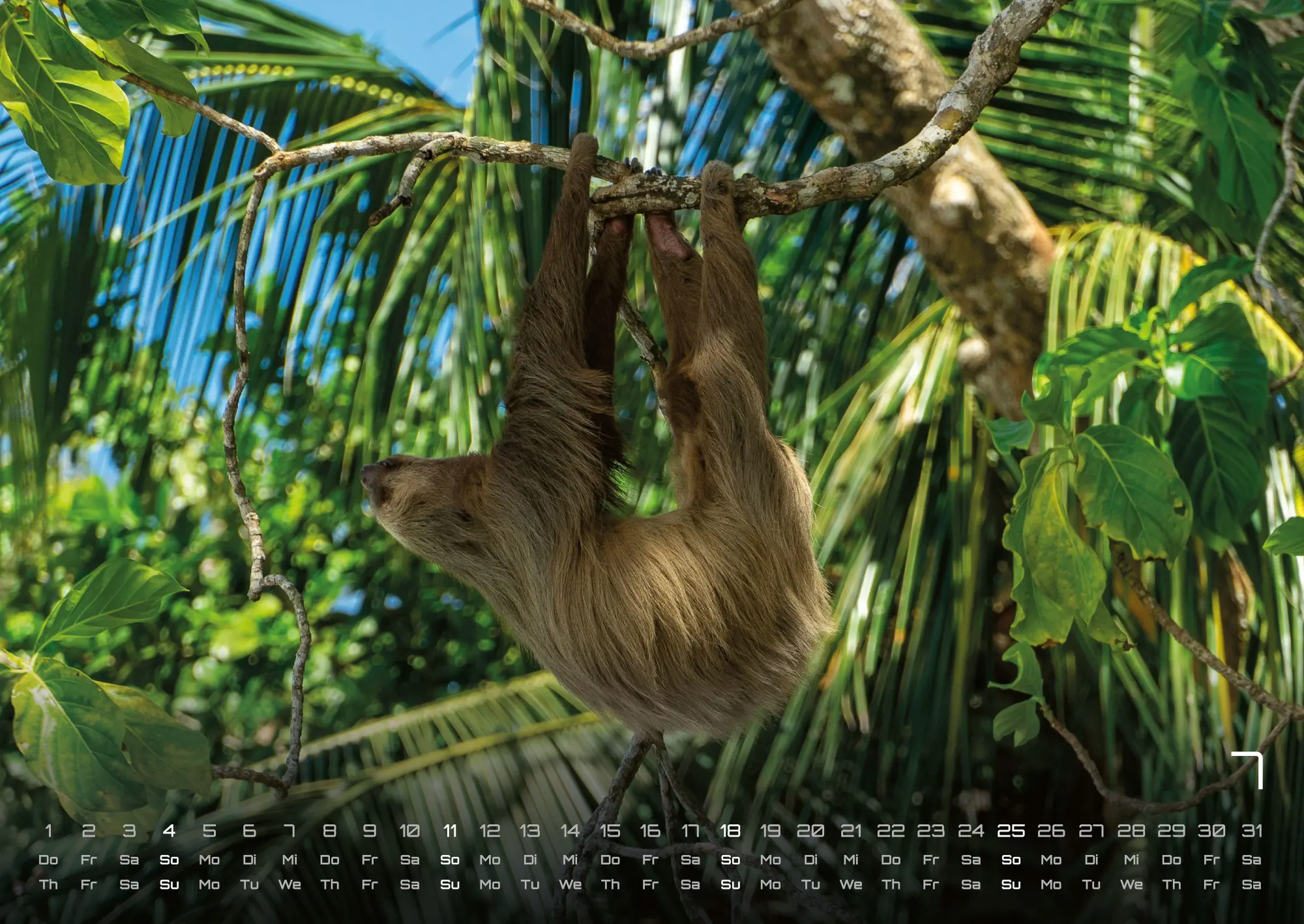 Bild: 9783986737313 | Faultiere - Chill mal! - 2027 - Kalender DIN A2 | GP-Fever. de | 15 S.