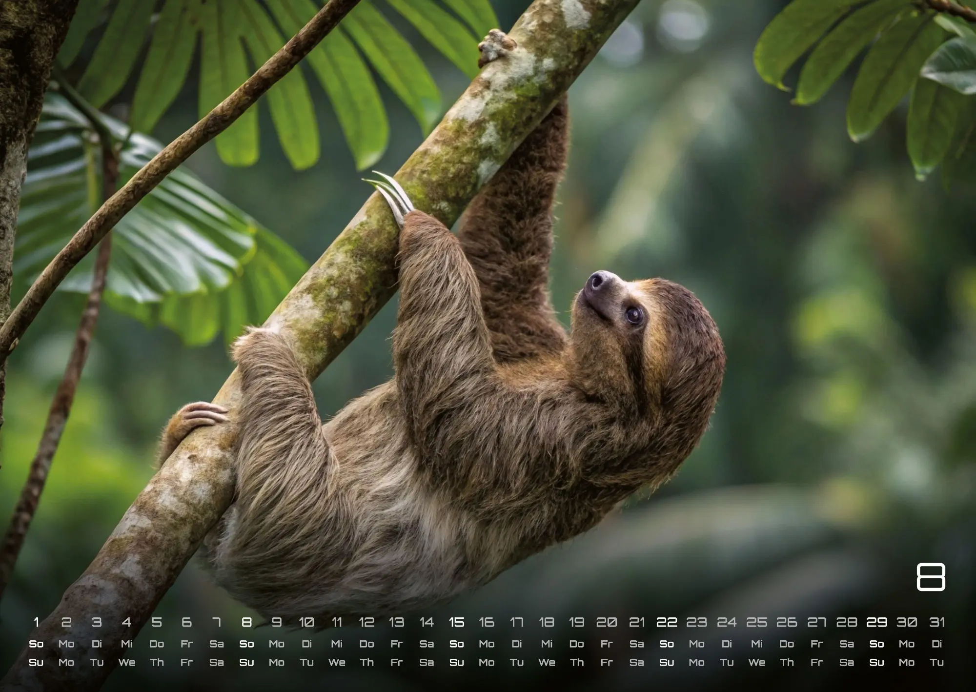 Bild: 9783986737313 | Faultiere - Chill mal! - 2027 - Kalender DIN A2 | GP-Fever. de | 15 S.